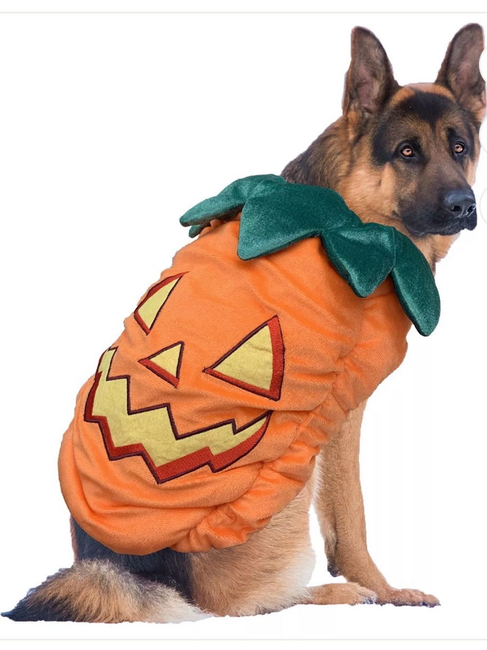 Woof Brand NWT Large Dog Pumpkin Costume Halloween